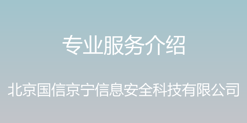 专业服务介绍 - 北京国信京宁信息安全科技有限公司