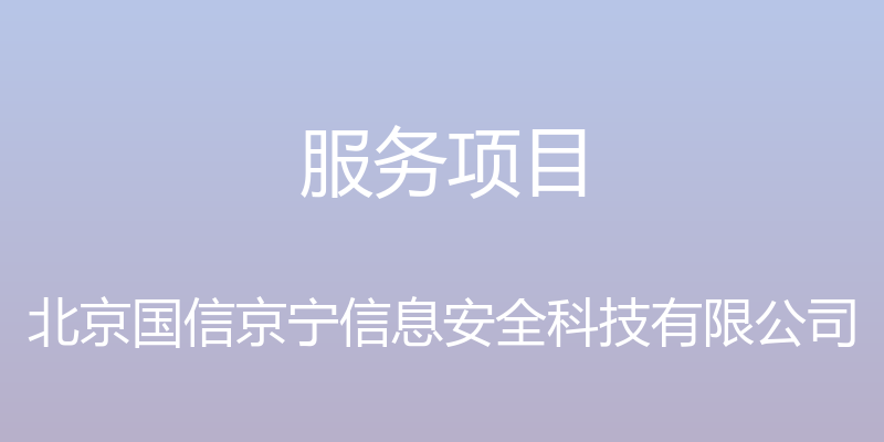 服务项目 - 北京国信京宁信息安全科技有限公司