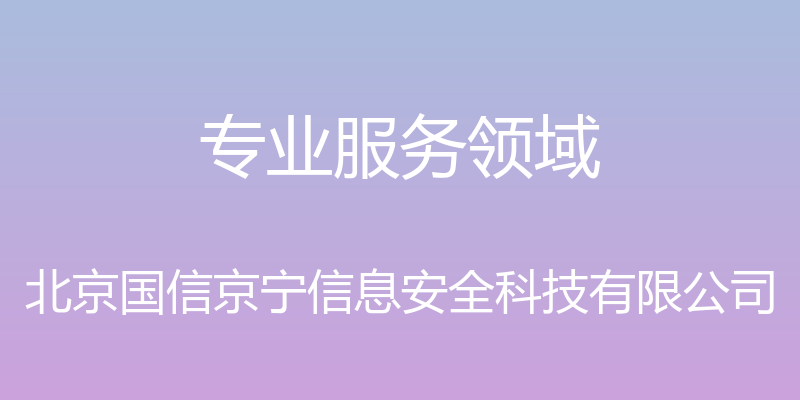 专业服务领域 - 北京国信京宁信息安全科技有限公司