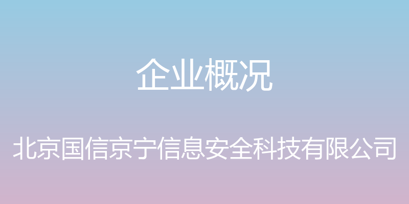 企业概况 - 北京国信京宁信息安全科技有限公司